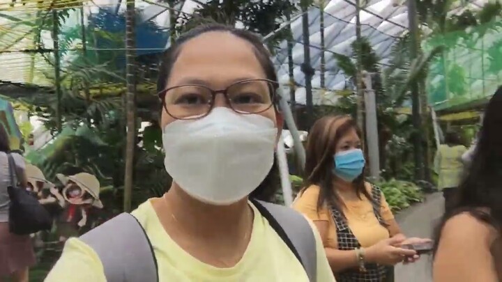 JEWEL CHANGI AIRPORT SINGAPORE /  CANOPY AND THE WALKING NET PART 2