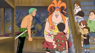 "Thợ săn hải tặc" zoro vất vả làm việc nhà và cái kết [AMV]