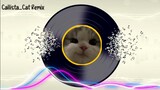 Skiriiiii remix || Callista Cat