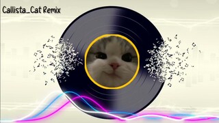 Skiriiiii remix || Callista Cat