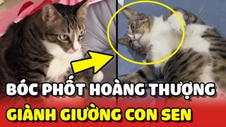 Con Sen BÓC PHỐT DÁNG NGỦ của Hoàng Thượng vì GIÀNH GIƯỜNG của mình 😂 | Yêu Lu