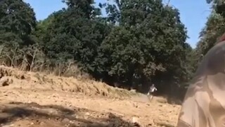 Amazing Talent Worldwide 💫 "Supermoto Riders"
