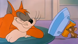 Tom dan Jerry: Siapa yang membuatmu main-main dengan dua protagonis sekaligus?