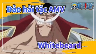[Đảo hải tặc AMV] Whitebeard: Tôi có là 1 ông bố đúng chuẩn không?