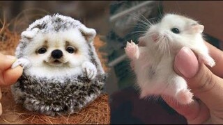 น่ารักมาก! Cutest baby animals Videos Compilation Cute moment of the Animals - Cutest Animals 9