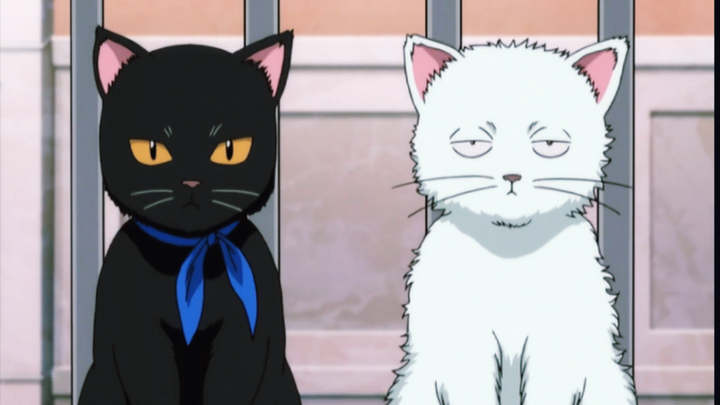 [Gintama]Con mèo trong mơ của ai đây?