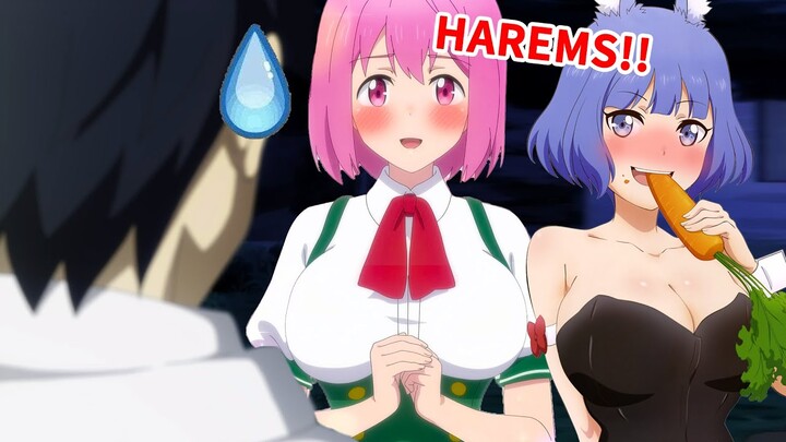 Newbie Boy At Level F Is Given S-Rank Strength, Conquering Two Sexy Harems In E1|ANIMERECAP