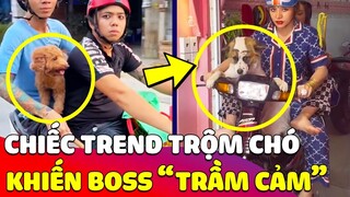 Chiếc Trend 'TRỘM CHÓ' trên TikTok, Boss khi xem được kiểu tụi bây 'DỪNG LẠI ĐƯỢC KHÔNG' 🤣 Gâu Đần