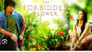 THE FORBIDDEN FLOWER Episode 1 Tagalog Dubbed