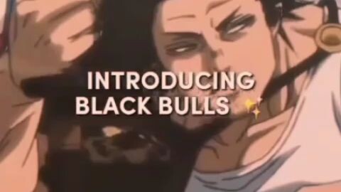 BLACK BULLS