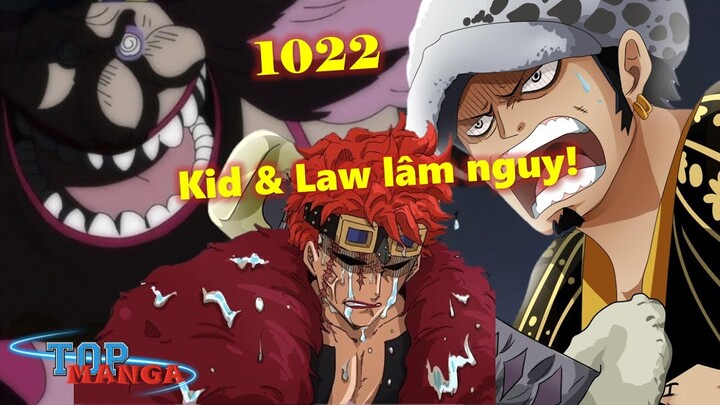 [One Piece 1022]. Kid & Law lâm nguy! Marco tiết lộ Tên Chủng Tộc của King!