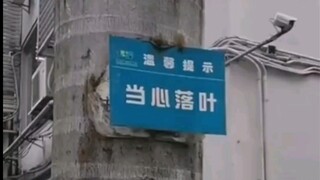 小心落叶