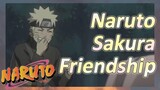 Naruto Sakura Friendship