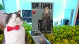 Reseña Manga | "Spy x Family" #1 de Editorial Panini México