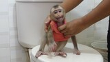 So Adorable Baby Maku Scare Water And Refuse Taking Bath | Baby Monkey Take Shower