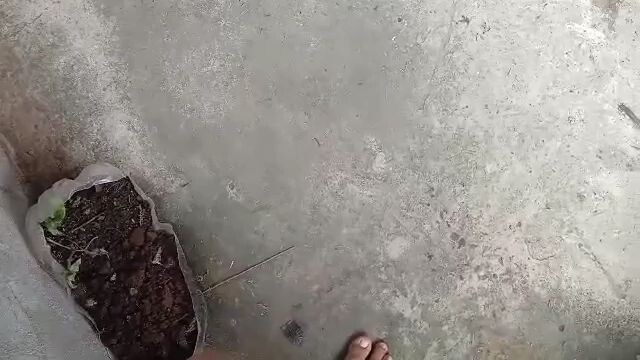 walang kaliskis.. tupada