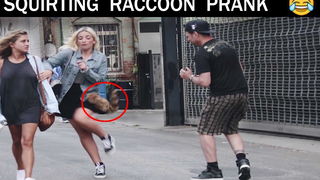 Squirting Raccon Prank-Julien Magic