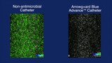 Arrowg+ard Blue Advance™ Protection Biofilm Formation Time Lapse Video