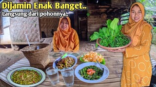 Tumis TAKOKAK Teri, Yang Super Enak, Dijamin Bikin Nagih, Tumis Genjer Saus Tiram, Masakan Kampung