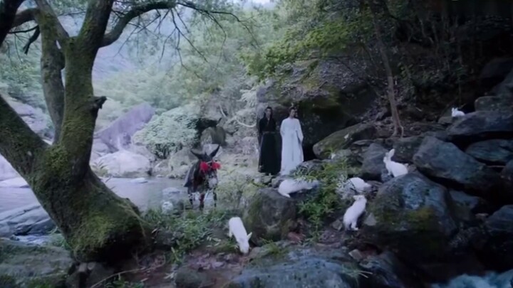 Little Apple kissed Little Rabbit, pay attention to the look in Lan Zhan's eyes and Wei Ying's! The 
