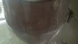 Baby Brine Shrimp (BBS) hatchery