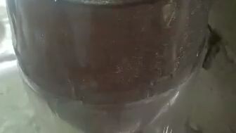 Baby Brine Shrimp (BBS) hatchery