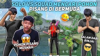 SALAM DARI BINJAI 🙏 SOLO VS SQUAD MENCARI POHON PISANG DI BERMUDA 😂 - FREE FIRE INDONESIA