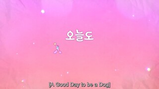 EP 11 ENG SUB A Good Day to Be a Dog