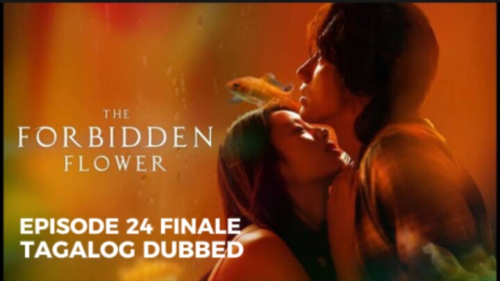 The Forbidden Flower Episode 24 Finale Tagalog Dubbed