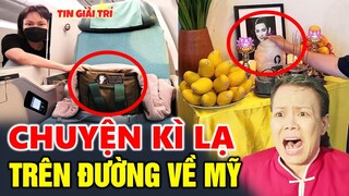 🔴Việt Hương RUN RẨY kể lại hành trình 30 tiếng Đưa PHI NHUNG về Mỹ