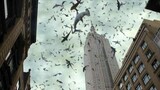 Sharks Flew up into the Sky along with Tornadoes That Attacked the Entire City