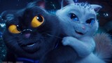 The Trouble of a Black Cat, đây là bộ phim về mèo dễ thương nhất tôi xem năm 2022
