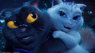 The Trouble of a Black Cat, ini film kucing paling lucu yang pernah saya tonton di tahun 2022