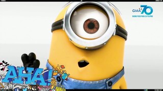 AHA!: Minions, marunong mag-Filipino?!