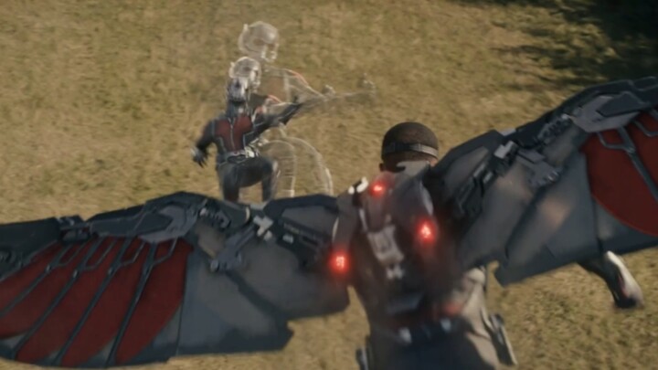 Falcon: The captain must not know about this.