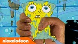 SpongeBob | SpongeBob jadi aktor terkenal! | Nickelodeon Bahasa