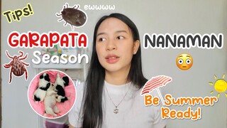 COMMON DOG PROBLEMS DURING SUMMER | PAANO PUKSAIN ANG GARAPATA