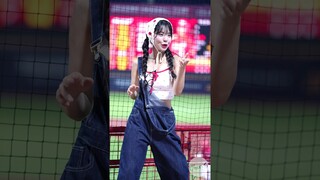 대만에서 한강고양이를 외치다 이다혜 치어리더 Lee DaHye Cheerleader