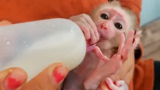 Most Adorable Moment!! Wow, So cute when tiny handsome boy Luca drinking milk after bathing