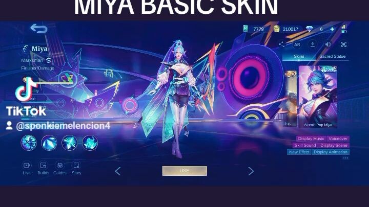 NEW BASIC SKIN