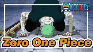 Zoro: The Moment I knelt down, My Ambition Is Above You | One Piece
