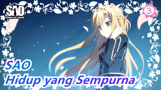 Sword Art Online | Kehidupan Sempurna yang Bisa Dipikirkan oleh Seorang Pemain_3