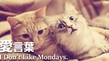 【Yijuanyou】Love Yanteng / I Don't Like Mondays. (Words of Love) 【Acapella】