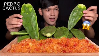 MUKBANG PEDRO CACTUS & CHILI SALT | MukBang Eating Show