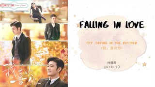 Falling In Love - 林檀雨  OST. Dating In The Kitchen 《我，喜欢你》 PINYIN LYRIC