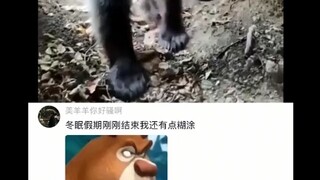 #Bình luận Hot#Hài hước#Giải trí#Chia sẻ hạnh phúc