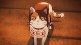 [ตัวละครพิฆาตอสูร] ชัชวาล ดาบพิฆาตอสูรมาสคอต ลอร์ด สึมุโยะ’s Messenger Cat Cat Hero