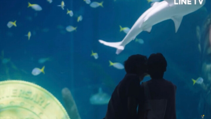 ｜BKPP｜水族馆的浪漫kiss 以你的心诠释我的爱没关系，是爱情啊