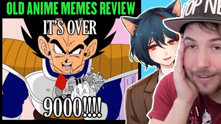 7 Generic Anime Memes ideas  anime memes memes anime