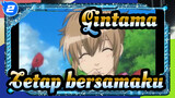Gintama| Mitsuba:Tetap bersamaku_2